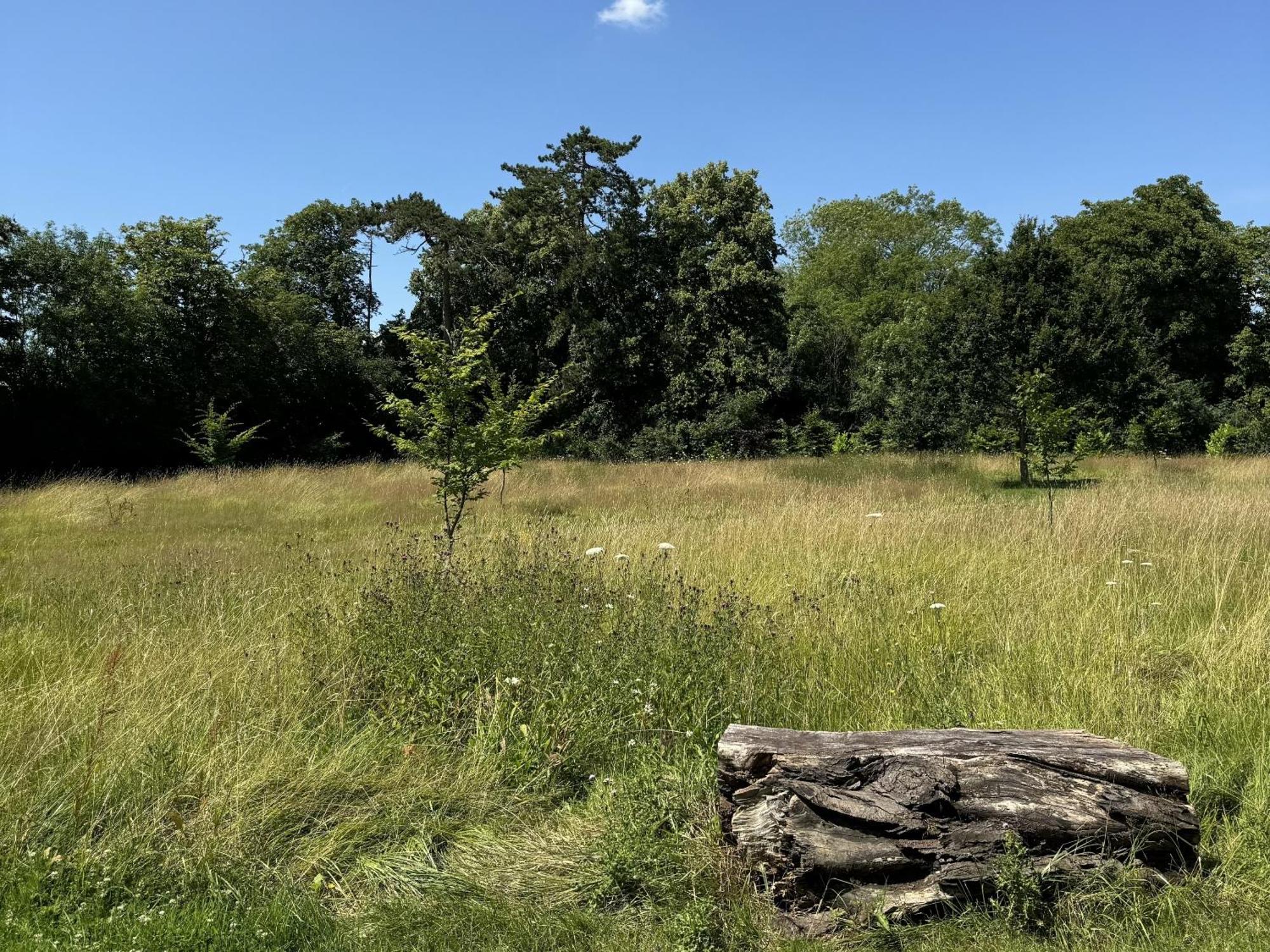 Hookwood Lodge London Gatwick هورلي المظهر الخارجي الصورة